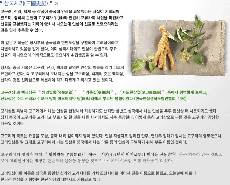 고려인삼 명칭의 유래