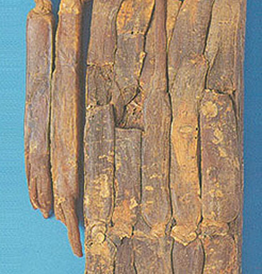 중국산 홍삼압착