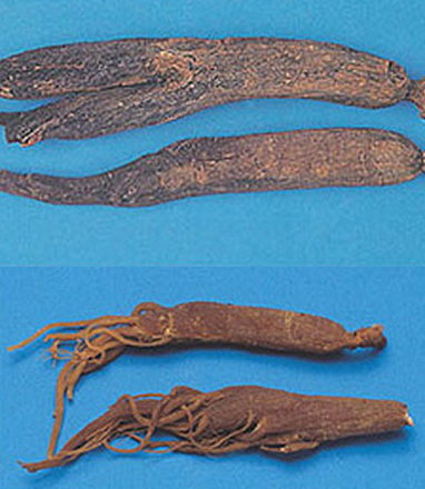 중국산 홍삼원형